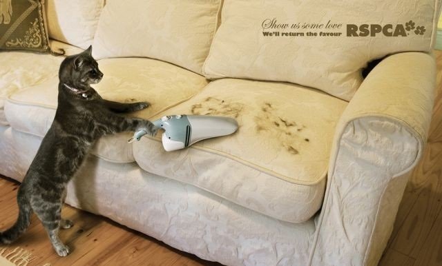 إعلانات عصرية تستهدف الشباب #غرد_بصورة -صورة 9