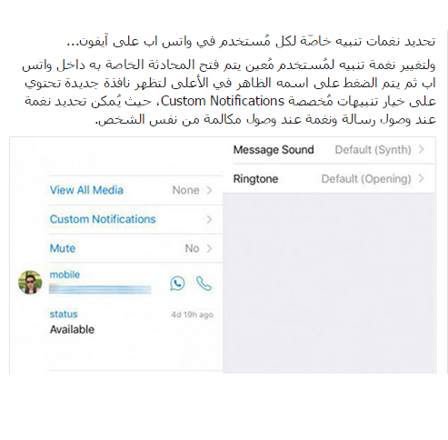 تحديد نغمات تنبيه خاصّة لكل مُستخدم في واتس اب على آيفون #تقنيه