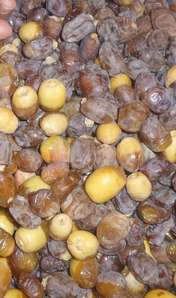 تمر عراقي - رطب - ٢