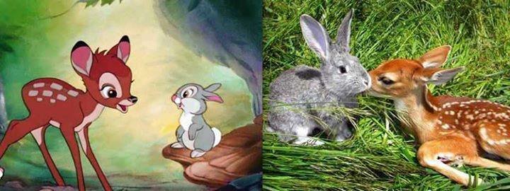  الشخصيات الحقيقة لديزني #ديزني #غرد_بصوره صوره رقم 2