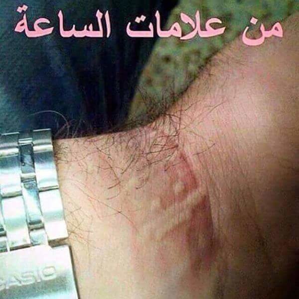 ظهور احدى علامات الساعة #حقيقة