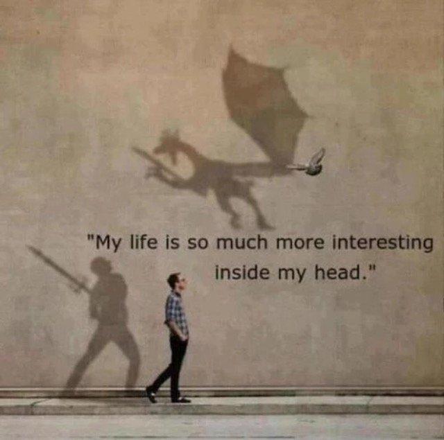 The Life in my head
