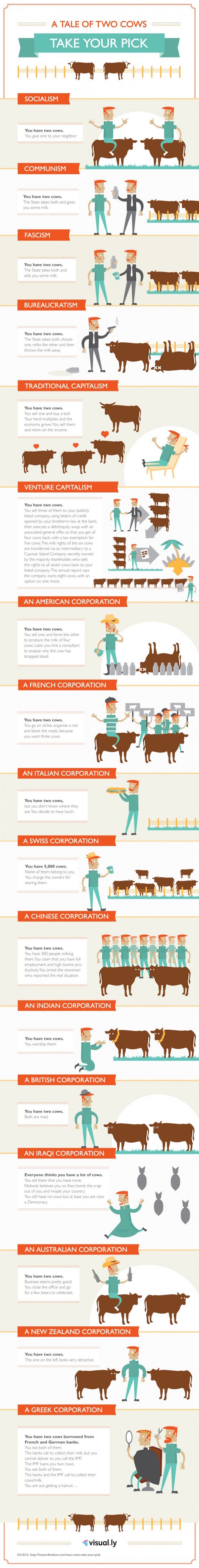 The Best Infographics of 2015 (So Far) - Tale of two cows #Infographic