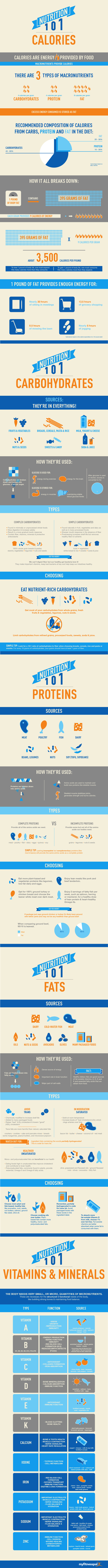 Nutrition 101 Calories #Infographic