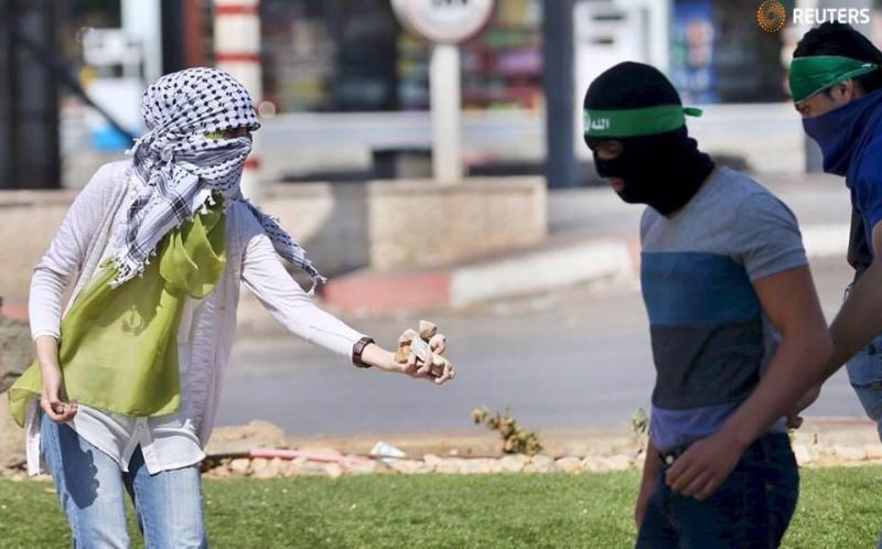 حجارة قطفتها لك من قلبي ففيه #فلسطين