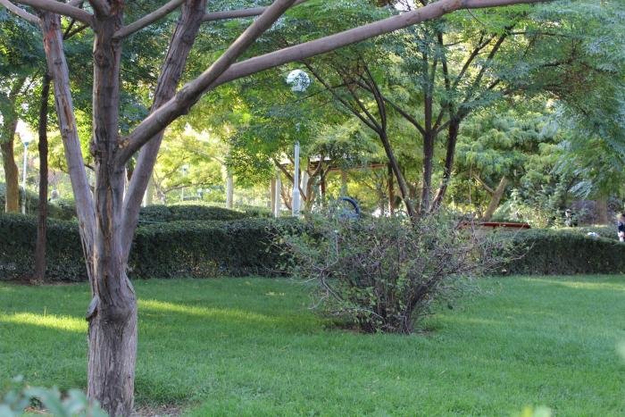 مدينة مشهد في إيران -5