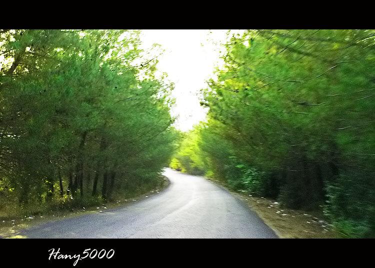 طريق ساحر وسط الغابات #سوريا-1