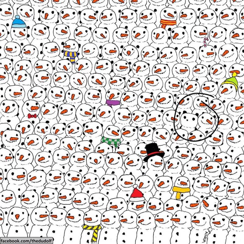 حل هل تستطيع إيجاد الباندا Panda في هذه الصورة #لغز