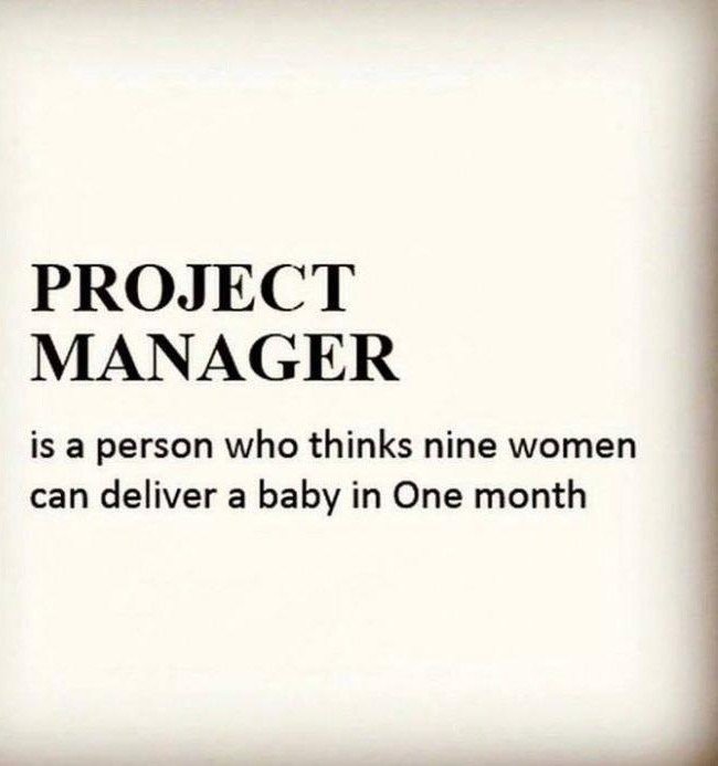 Project Manager Definition