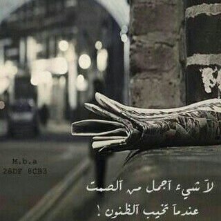 لاً شيء أجمل من الصمت 