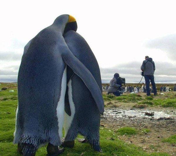 Next time we will win the National Geographic competition