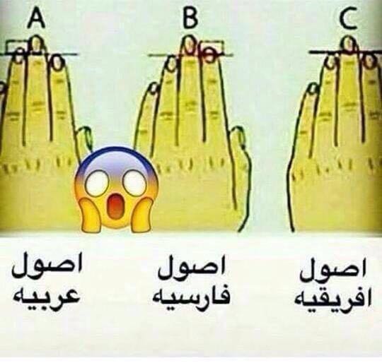 أصلك من شكل أصابع يديك