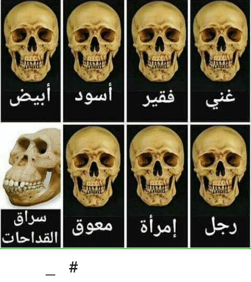 #منشن حرامي القداحات