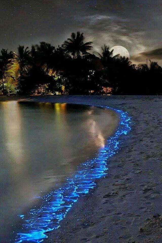صور رائعه لشواطئ جزر #المالديف - صورة ٢