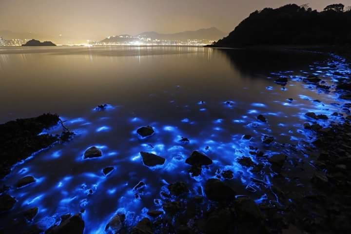 صور رائعه لشواطئ جزر #المالديف - صورة ٤