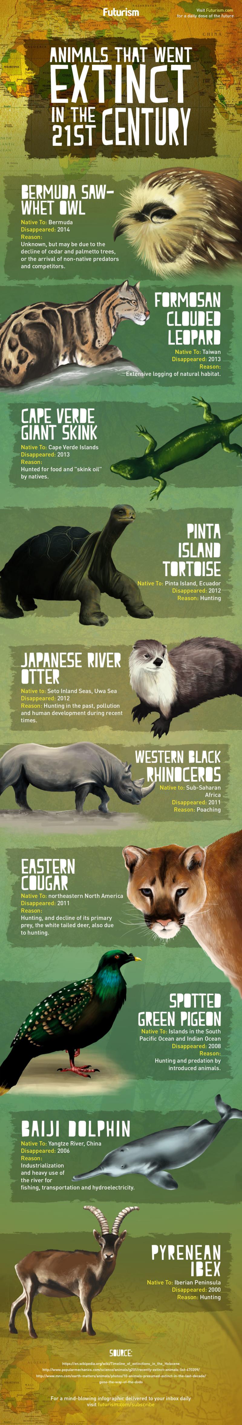 Animals that went extinct in the 21st century #Environment #Infographic