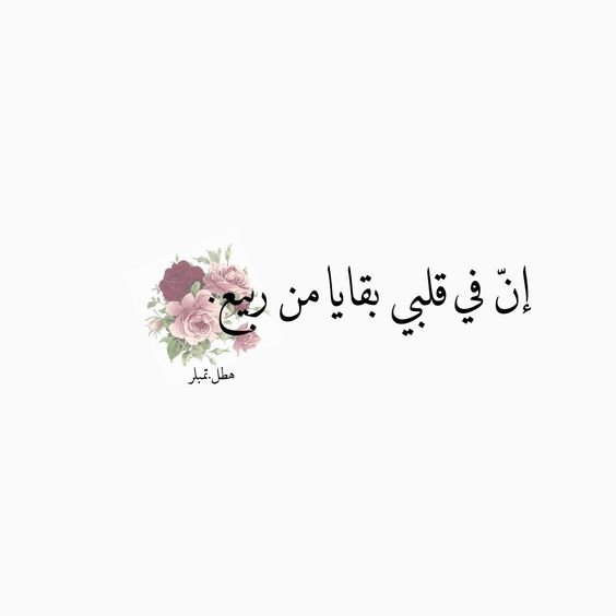 #خلفيات #رمزيات #حب #بنات #فيسبوك #حكم #شعر #أقوال - إن في قلبي بقايا من ربيع