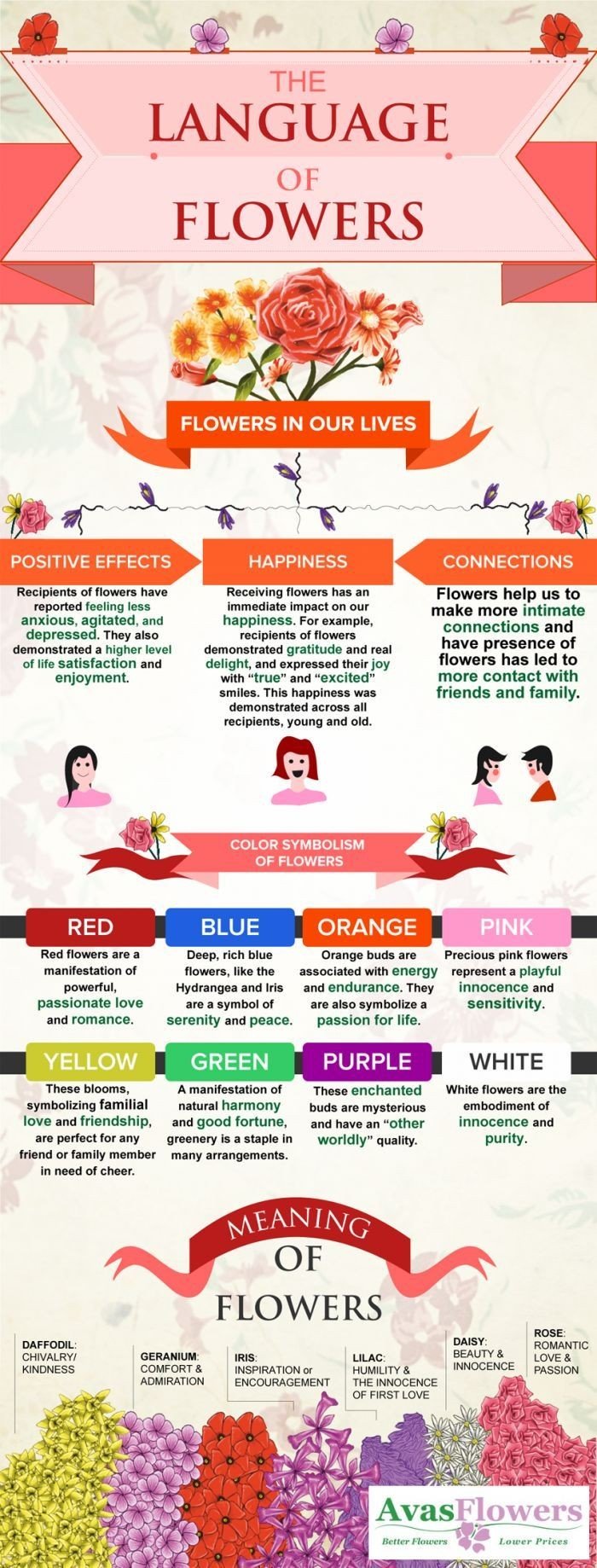 The language of flowers #Infographic 