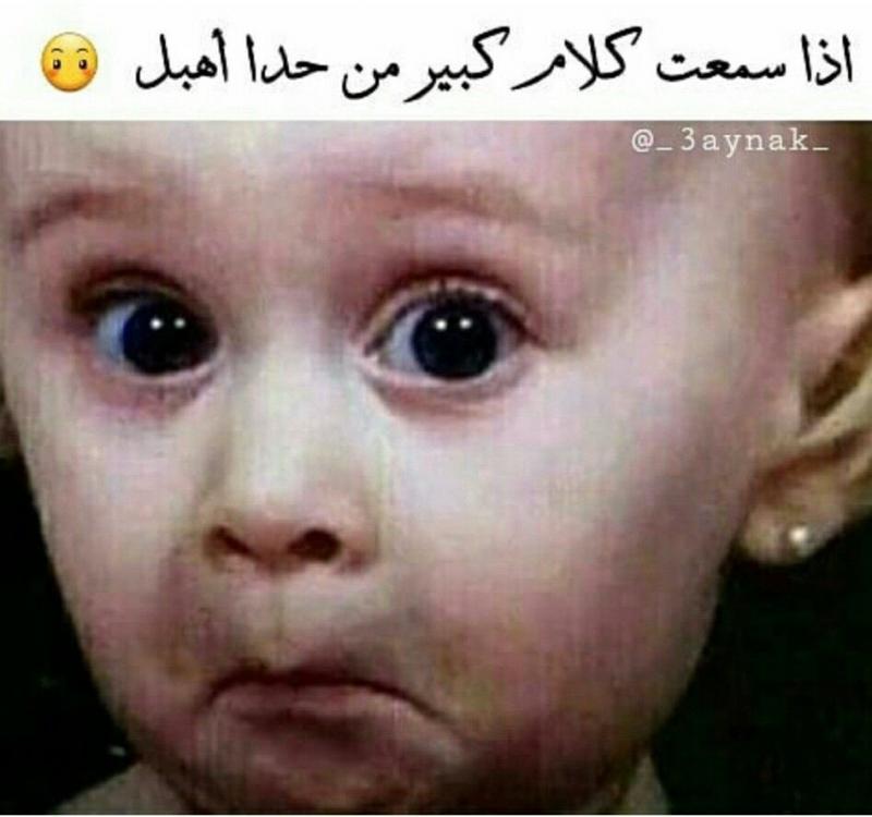 اذا سمعت كلام كبير من واحد أهبل #نكت #نهفات