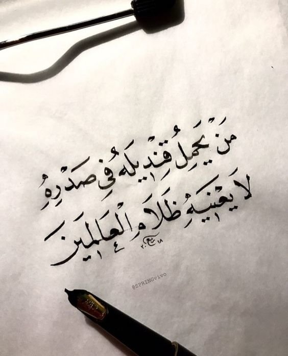 #خلفيات #رمزيات #حب #بنات #فيسبوك #حكم #أقوال #اقتباسات - من يحمل قنديله في صدره لا يعنيه الظلام
