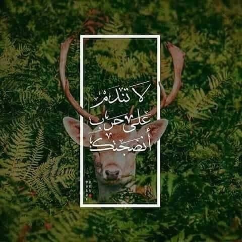 #خلفيات #رمزيات #بنات #فيسبوك #حكم #أقوال #اقتباسات - لا تندم على حرب أنضجتك