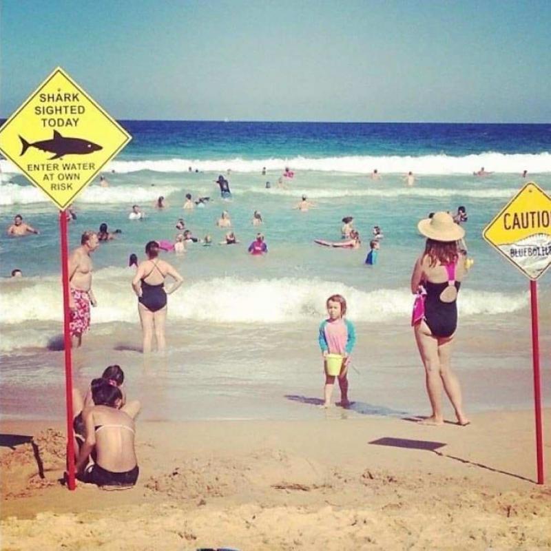 26 صورة تشاهدها في #استراليا فقط بسبب طبيعتها #غرائب - صورة 5