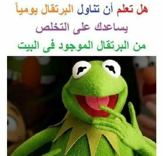 Fay3 12 صورة نكت خلفيات رمزيات الضفدع كيرميت صورة 3