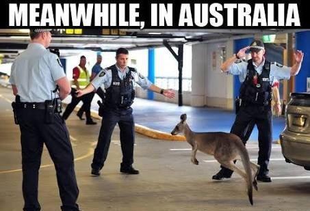 26 صورة تشاهدها في #استراليا فقط بسبب طبيعتها #غرائب - صورة 15