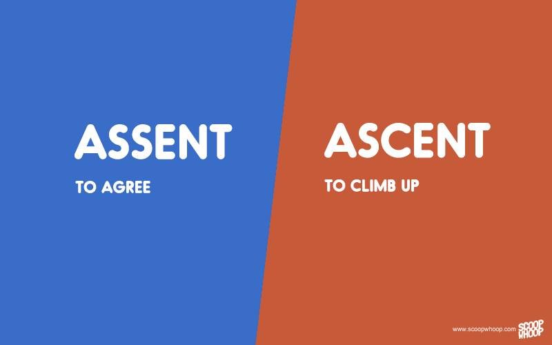 Top 20 Commonly Used Words Which Sound Alike But Have Different Meanings #Education #English - Image 3