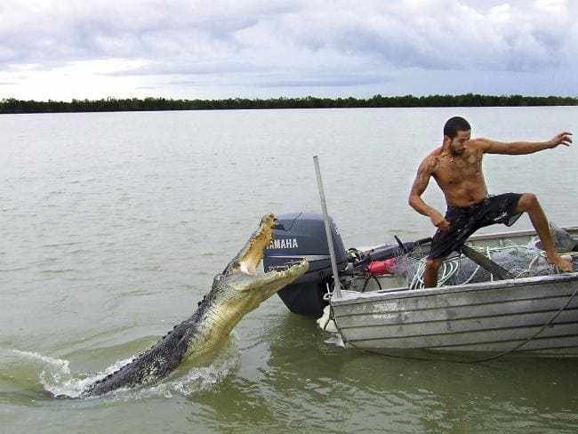 26 صورة تشاهدها في #استراليا فقط بسبب طبيعتها #غرائب - صورة 7