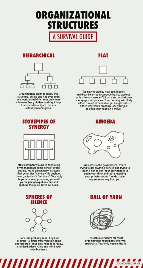 A Survival guide for Organizational Structures #Infographic