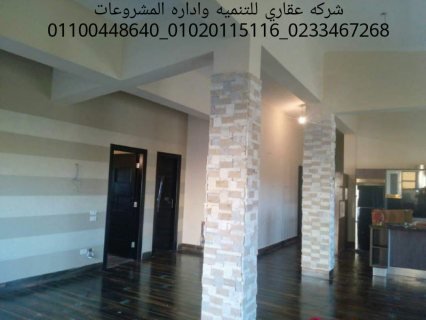  ديكورات فلل شركه عقاري للتنميه واداره المشروعات 01020115116