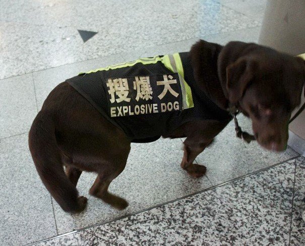 Lost in #Translation in #china - 39 Images of #Funny signs - Image 33