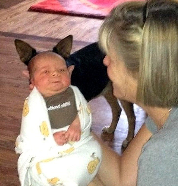 21 صورة ل #حيوانات في #الوقت_المناسب #مضحك #نهفات - صورة 18