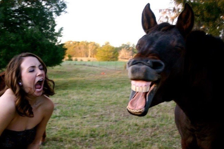 21 صورة ل #حيوانات في #الوقت_المناسب #مضحك #نهفات - صورة 20