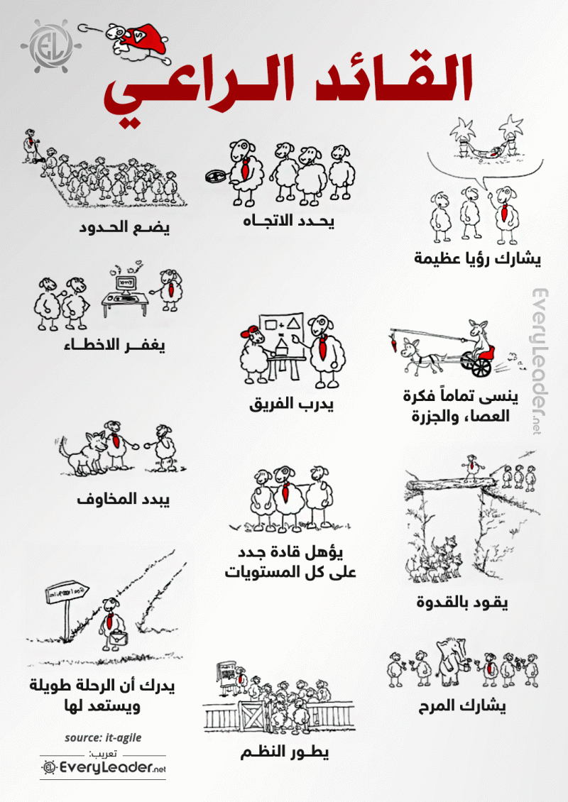 ما الذي يفعله القائد الراعي #انفوجرافيك #انفوجرافيك_عربي