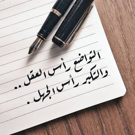 #حكم #أقوال #رمزيات #كتب - التواضع رأس العقل