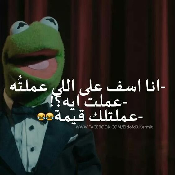 أنا آسف إني عملتلك قيمة #مضحك #نهفات #الضفدع_كيرميت