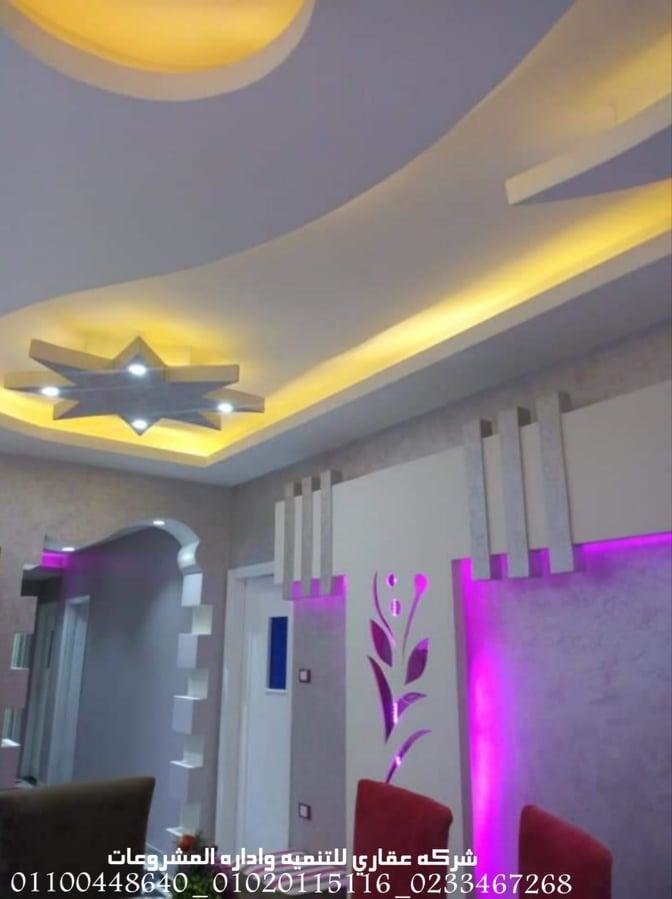 تصميمات فلل (شركه عقاري للتنميه واداره المشروعات)01020115116 