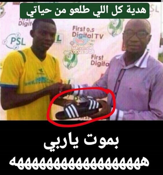من أفخم المكافآت #مضحك #نكت #نهفات