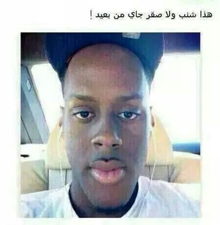 صقر ولا شنب #مضحك #نهفات