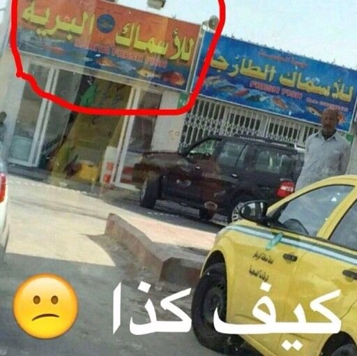 محل الأسماك البرية #مضحك #نكت #نهفات