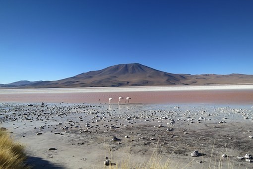 Photos from #Chile #Travel - Image 66