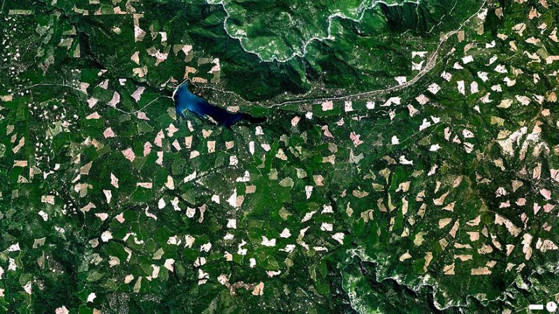 Amazing #Satellite Photos from the #World - Clearcutting In The El Dorado National Forest, Georgetown, #California , #United_States - Image 6