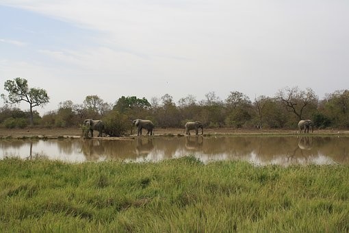 Photos from #Ghana #Travel - Image 13