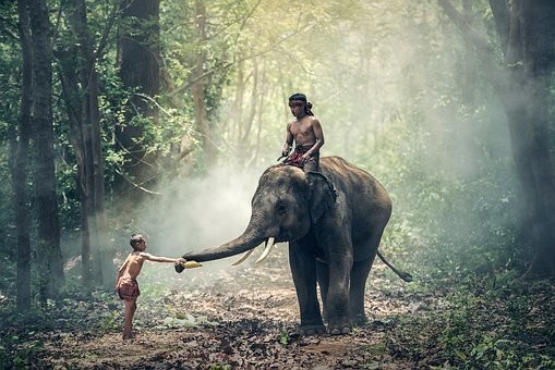 Photos from #Thailand #Travel - Image 56