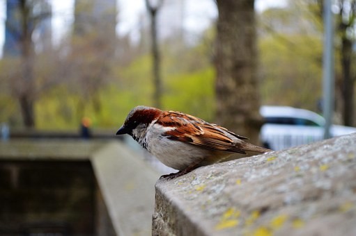 Photos from #Newyork #USA #Travel - image 66