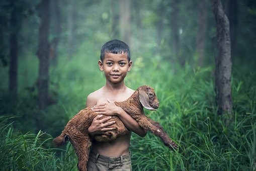 Photos from #Thailand #Travel - Image 68