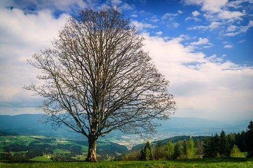 Photos from #Austria #Travel - Image 148