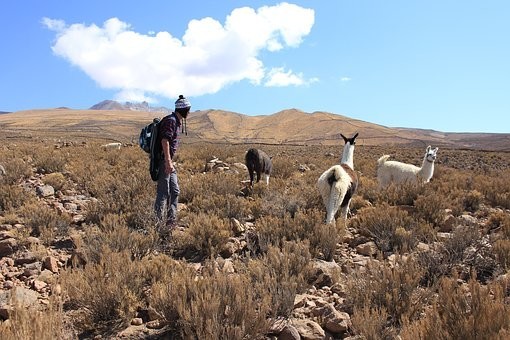Photos from #Bolivia #Travel - Image 149